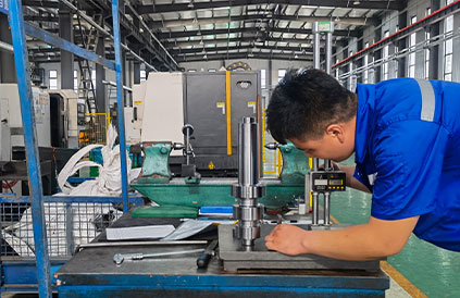 Processing and Inspection