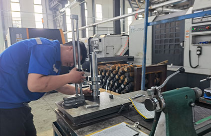 Processing and Inspection