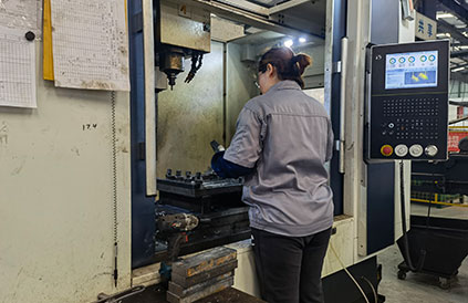 Processing and Inspection